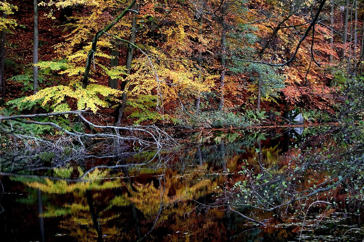 Aktivity spojené s&nbsp;ochranou životního prostředí