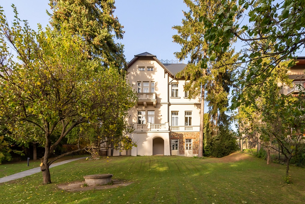 Brno Svoboda Williams