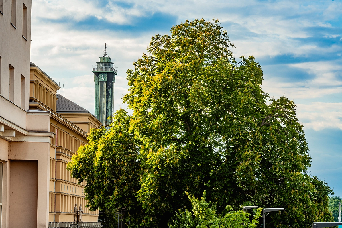 Ostrava